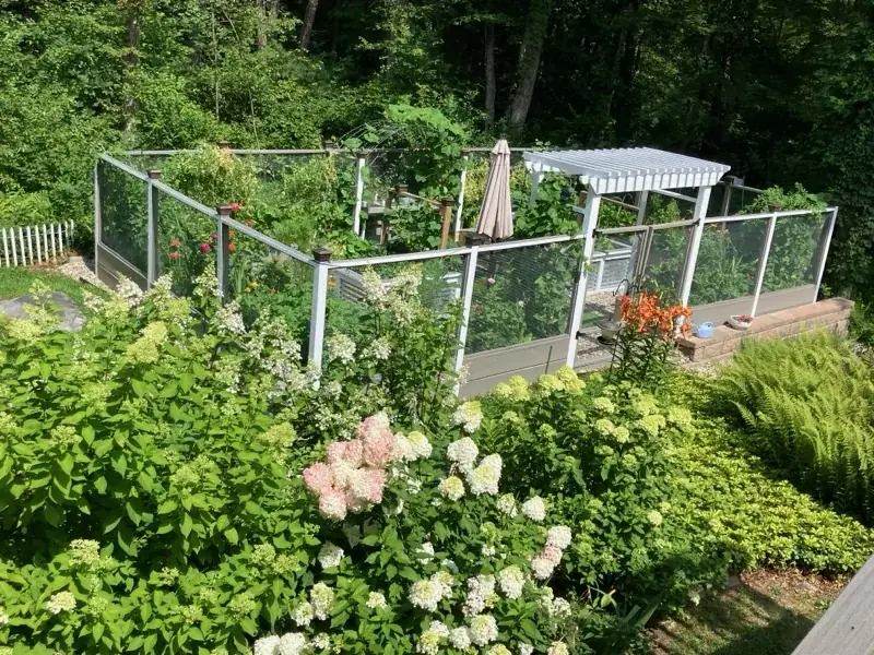 Garden seen above flowering hydrangeas