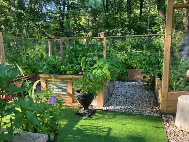 Raised garden beds with an urn planter and gravel path