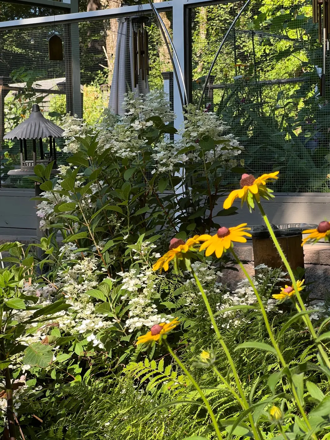 Yellow flowers in front of the enclosed garden