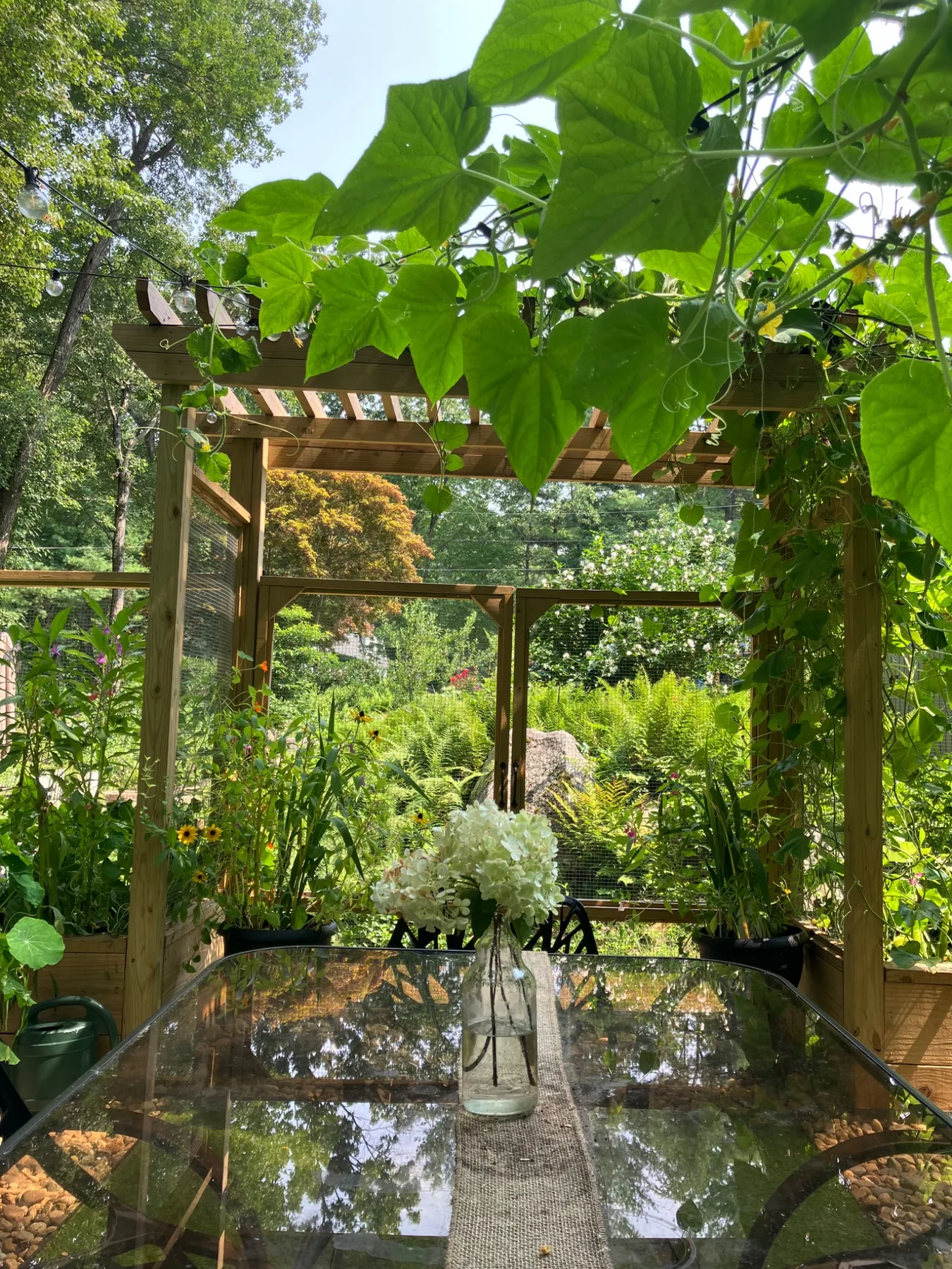 Garden dining area beneath a vine-covered pergola