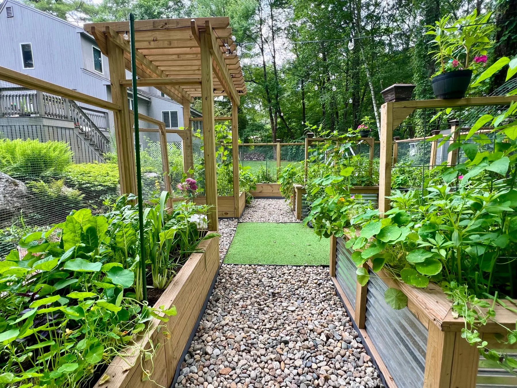 Productive raised vegetable beds along a gravel garden path